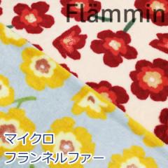 y10cmPʉiz }CNtlt@[ Flammin t~ k ԕ zM n z P88% [12 68cm i nh