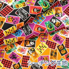 y10cmPʉiz Hallow ween gv WbNI^ ڂႨ V[`O 100 n z 110cm w 䂤pPb
