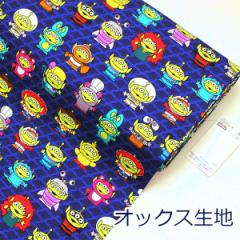 y10cmPʉiz gCXg[[ GCA lCr[ sNT[ IbNX 100 n z 110cm GR-1138 w LN^[ 