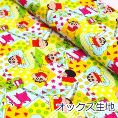 y10cmPʉizN񂿂 `Rr jR Jt IbNX 100% n z 110cm w LN^[ 䂤pP