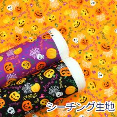 y10cmPʉiz nEB ڂႪς hN N̑ WbNI^ pvL Hallow ween V[`O 100 n