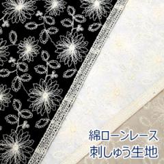 y10cmPʉiz ȃ[X J[[X ԕ hイ t[  [ D [X 100 n z 95cmihイj MU110