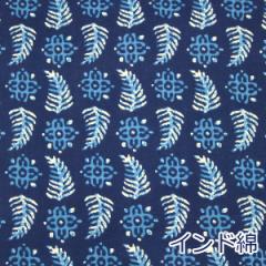 y10cmPʉiz Ch lCr[u[ t {^jJ A D {C 100 n z 100cm PRT-11872 䂤pPbg2.5