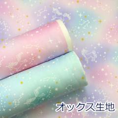 y10cmPʉiz ߂ jR[Ɛ pXeJ[ IbNX 100 n z 110cm R6504 䂤pPbg2Ή i nh