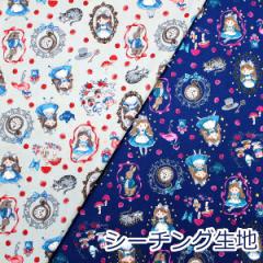 y10cmPʉizAX Fairy tale V[`O 100 n z 110cm KOKKA YP-56010-1 w 䂤pPbg2.5Ήi nh