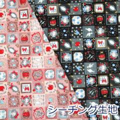 y10cmPʉizP Fairy tale V[`O 100 n z 110cm KOKKA YP-56010-2 w 䂤pPbg2.5Ήi nh
