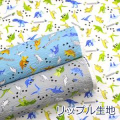 y10cmPʉiz _Ci\[bv   r bv TbJ[ 100 n z 110cm 38145-6 䂤pPbg2Ή i n