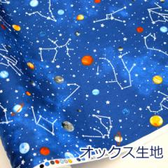 y10cmPʉizF Ɛ X^[ lCr[ IbNX 100 n z 110cm 7120-2 䂤pPbg2Ή i nhCh 