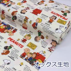y10cmPʉiz SNOOPY Xk[s[ PEANUTS 75N NVbN OW IbNX 100% n z 110cm 823528 w LN^[ 