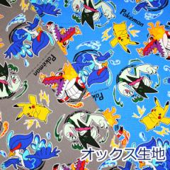 y10cmPʉiz |P |PbgX^[ }XJ[j Eh{[ EF[jo IbNX 100% n z 110cm G-6129 