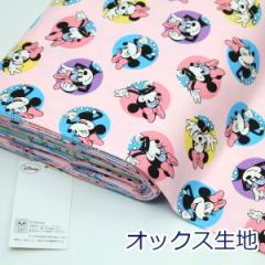 y10cmPʉiz g~j[ ~j[}EX sN IbNX 100 n z 110cm GR-1142 w LN^[ Vs 