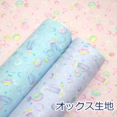 y10cmPʉiz ߂ ou VF Lk pXeJ[ IbNX 100 n z 110cm HSK760 䂤pPbg2Ή i n
