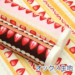 y10cmPʉiz ȃP[L V[gP[L f  XC[c N[ IbNX 100 n z 110cm HSK769 