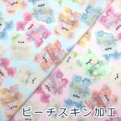 y10cmPʉiz C{[Aj} L[ imaDOKI Kids |GXe100 s[`XLH n z 70cm IMAF-21 