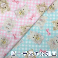y10cmPʉiz ӂӂxr[{L[ imaDOKI Kids |GXe100 s[`XLH n z 70cm IMAF-22 