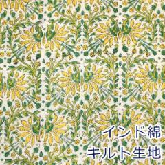 y10cmPʉiz Ch Lg CG[ O[ A  {^jJt[ kr Cu LeBO 100 n z 9