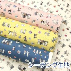 y10cmPʉiz  ˂ L funny cats V[`O 100 n z 110cm KOKKA YK-31050-1 w 䂤pPbg2.5Ή