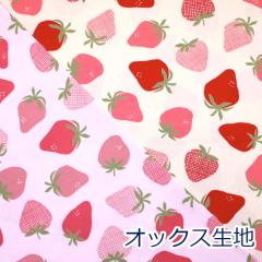 �y10cm�P�ʉ��i�z �k���e�C�X�g �X�g���x���[ ������ LE DEPART �� �f�p�[�� �k���� �k���� �I�b�N�X ��100�� ���n �z ��110cm�� 142-136