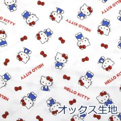 y10cmPʉiz n[LeB KTx[VbN{ WO zCg HELLO KITTY TI IbNX 100 n z 110cm w L