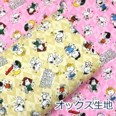 y10cmPʉiz PEANUTS _VO 75N SNOOPY Xk[s[ IbNX 100% n z 110cm G-3717 w LN^[ 䂤