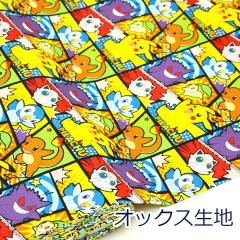 y10cmPʉiz |P |PbgX^[ R~bN u[n sJ`E qgJQ QK[ v IbNX 100% n z 1