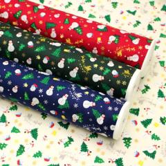 y10cmPʉiz NX}X Ⴞ Xm[} T^N[X c[  Christmas XPA V[`O 100 n z 110cm