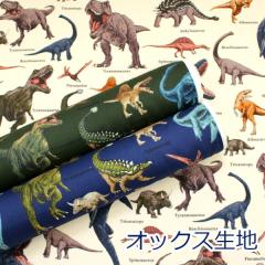 y10cmPʉiz Aȋ } _Ci\[ IbNX 100 n z 110cm HSK814 䂤pPbg2Ή i nhCh 