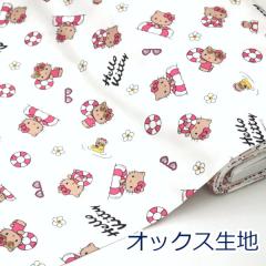 �y10cm�P�ʉ��i�z �n���[�L�e�B KT�T�}�[ ���Ă��L�e�B WO �z���C�g HELLO KITTY �T�����I �I�b�N�X ��100�� ���n �z ��110cm�� �������w