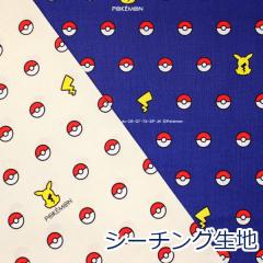 �y10cm�P�ʉ��i�z �|�P�b�g�����X�^�[ �s�J�`���E�ƃ����X�^�[�{�[�� POKEMON �|�P���� �V�[�`���O ��100�� ���n �z ��106cm�� G-6137 ��
