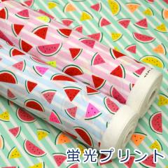 �y10cm�P�ʉ��i�z �u���v�����g �X�C�J ������ �ʕ��� �{�[�_�[ �V�[�`���O ��100% ���n �z ��110cm�� SSUI �䂤�p�P�b�g2.5���Ή� �i �n