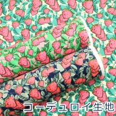 �y10cm�P�ʉ��i�z���ʕ� ������ �C�`�S �ʕ��� �׃R�[���e�� �R�[�f�����C �V���c�R�[�� ��100�� ���n HSK848 ��110cm�� ���{�� �䂤�p�P