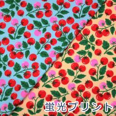 �y10cm�P�ʉ��i�z�u���痿�v�����g �g�}�g NEON TOMATO �I�b�N�X ��100�� ���n ��110cm�� ONT-1 ���{�� �䂤�p�P�b�g2���Ή��i�o�b�O ��
