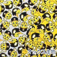 y10cmPʉiz_^CK[X gbL[ v싅 NPB ObY IbNX 100% n z 110cm A6100-1 w LN^