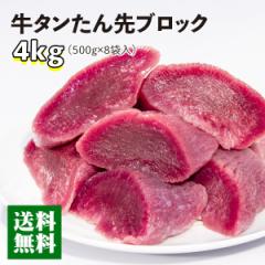   ^ Mtg Jl^ ubN ق̂艖 4kg ґ ύ V`[ J[ Ⓚ  ubN4kg[500g