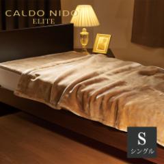 CALDO NIDO ELITE 2 |ѕz S(VO) x[W