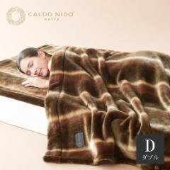 CALDO NIDO notte 2 |ѕz D(_u) uE