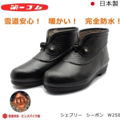 ���S�� �s���X�p�C�N �V�F�u���[ �V�[�{�� W250 ���f�B�[�X �ᓹ�Ή� ���S�h�� ���C �A�C�X�o�[�� �k�C��