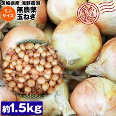 ʂ˂ _ 1.5kg 錧Y ~jTCY  ʔK ^}lM ʃlM Y Y 퉷 s ws