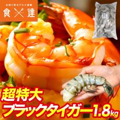 ������ �u���b�N�^�C�K�[ �����G�r 1.8kg 8/12 �T�C�Y ��32���`48�� �����t���[�Y�� �C�V �Ⓚ�� �M�t�g ������ �����񂹃O���� �H�i