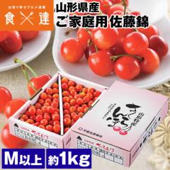 �������� 1kg ���ƒ�p �R�`�� �o���l�� ������ �T�C�Y���I�� �I�n�͔| �T�N�����{ �󂠂� �①�� �����s�� �w����s�� �Y��