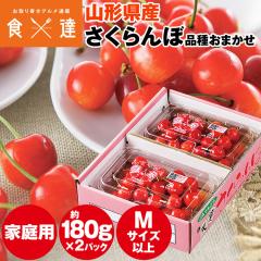 �������� ��180g�~2�p�b�N �R�`���Y ���ƒ�p �i�킨�܂��� �T�C�Y���I�� M�T�C�Y�ȏ� �I�n�͔| �T�N�����{ �󂠂� �①�� �����s�� �w
