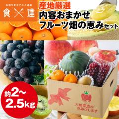 �t���[�c�Z�b�g 2�`2.5kg���x �t���[�c���̌b�� �ʕ� �l�ߍ��킹 �����s�� �w����s��