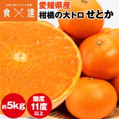 ���Ƃ� �݂��� 5kg ���Q���Y JA���Ђߒ��� ���k ��g�� ���� �t���[�c �M�t�g �����s�� �w����s��