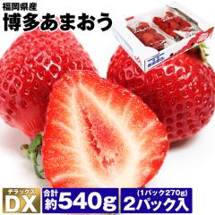 ���܂��� ������ ���� DX 2�p�b�N ��540g (1�p�b�N��270g�~2) �������܂��� �f���b�N�X �C�`�S � �①�� �����s�� �w����s��