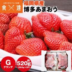 ���܂��� ������ ���� ���ƒ�p G 2�p�b�N ��520g (1�p�b�N��260g) �������܂��� �C�`�S � �①�� �����s�� �w����s��