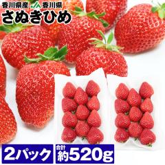 ���ʂ��Ђ� ������ 2�p�b�N ���v��520g ���쌧�Y �C�`�S � ���ʂ��P JA���쌧 �①�� �����s�� �w����s��