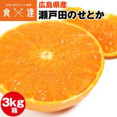 ���Ƃ� 3kg �L�����Y ���˓c �݂��� ���k�̑�g�� �Y�� �����s�� �w����s��