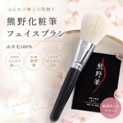 �F��M �t�F�C�X�u���V �R�r��100�� �F�쉻�ϕM ���{�� �p�E�_�[�u���V ���C�N�u���V ���ϕM ���� �_�炩�� �q���� �t�F�C�X�p�E�_�[�p