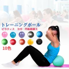 内転筋 ボール エクササイズ 鍛える ピラティスボール ヨガボール トレーニング チューブ ピラティス ミニ 20cm オーバー