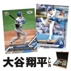 NPB プロ野球カード 285 隅田知一郎 埼玉西武ライオンズ (レギュラー